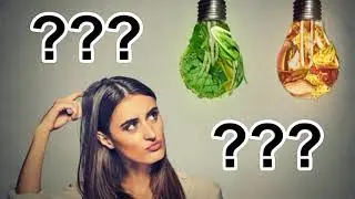 .Почему люди болеют и долго не живут ? Преждевременная смерть..
