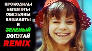 Песня Красной Шапочки / Remix / Extended