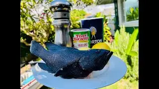 TOXIC Grouper Catch and Cook  - Spearfishing ROI Hawaii