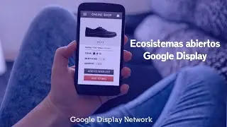 ✅️Red Google Display [Ecosistemas abiertos]