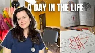 A DAY IN THE LIFE (Doctor): perchè ho dato le dimissioni 👩🏻‍⚕️