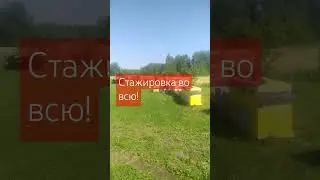14 июля 2024 г.