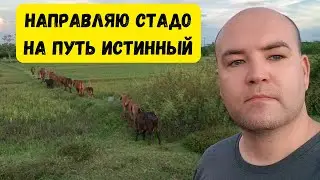 Бытовые зарисовки сельского Таиланда