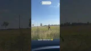 Тяжелая работа видеооператора) 