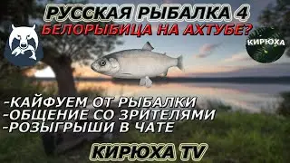 🔴 Русская Рыбалка 4 ● Новый синий трофей и белка на Ахтубе!)) ● Розыгрыши крафтового алкоголя! 🔴