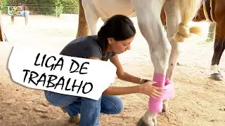 Colocando liga de trabalho, cloche e caneleira