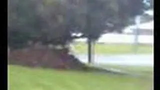 mulch stealing man