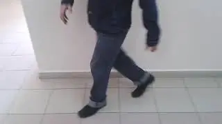 Лунная походка