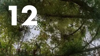 A Time Lapse A Day - 12 - May 07, 2019 (4K)