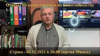 Прямая трансляция по животноводству. Александр Гальцов. ДэйриБел