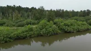 DJI 0006