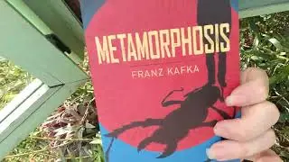 BookTube: Replenishing the Little Free Library - 12-21 (Part 07)