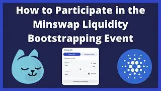 How to get purrAda and Participate in the Minswap Liquidity Bootstrapping Event (LBE)!