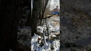 2 norco#велоспорт#стант
