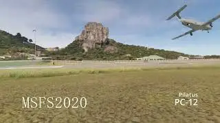 MSFS vs X-Plane Fight Dynamics