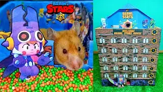 Hamster Brawl Stars Maze 7 floors (hamster Nyasha)