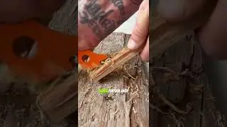 Chainsaw teeth firestarter