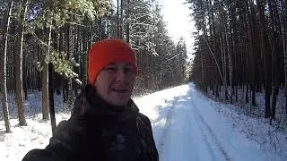 Охота на боровую дичь стала прогулкой февраль