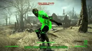 Fallout 4: The Equalizer - 5