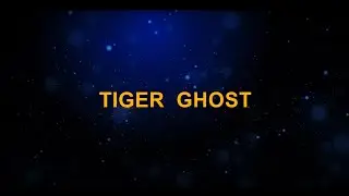 Metin2 Tiger Ghost International Server