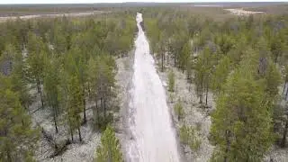 Эти дороги старше леса