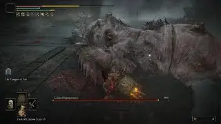 ELDEN RING Beating Golden Hippo