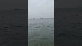 Дедеркой - 24 августа 2024