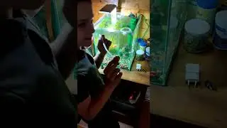 Замена фильтра