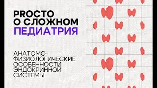PROСТО О СЛОЖНОМ «Анатомо-физиологические особенности эндокринной системы»
