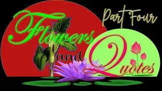 FLOWERS AND QUOTES FOUR