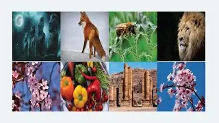 Responsive  Images Gallery With Zoom Hover Effect Using HTML & CSS