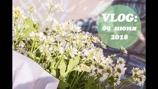 VLOG:В Беларуси запретили праздновать выпускной? // 09 июня 2018
