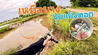 เหยื่อยางชุบแป้งทอด กัดดีจีด
