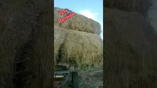 вывоз сена