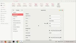 Ant Theme Install In Ubuntu 18.04 18.10 19.04