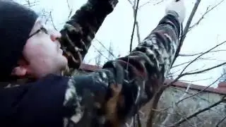 Как обрезать вишню