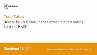 Sentinel Support-How to troubleshoot error when using Runtime API for C# with Microsoft VS 2000