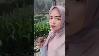 Vlog Kebun Binatang Cek.#zoo #dance #pematangsiantar #kebunbinatang #harimau#vlog