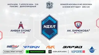Amber Stone 1 - Академия Бирюкова 2 | 