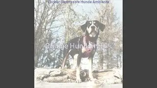 Lecker (Schlafende Hunde)