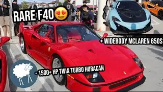 Rare Ferrari F40 and Sheepeyrace SVJ Take over Cars and Coffee! + Rare widebody Mclaren 650s!