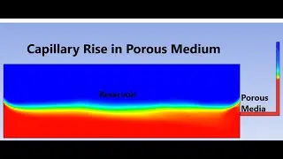 Capillary Rise of Multiphase Fluid in Porous Medium