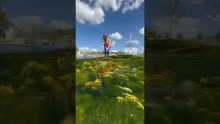 A Paradise for their Koi 😍#koi #paradise #koifish #koipond