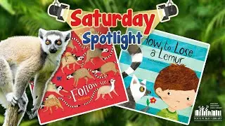 Saturday Spotlight: Lemurs