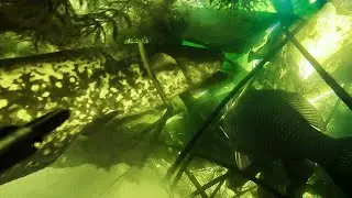 С+С отличная пара
