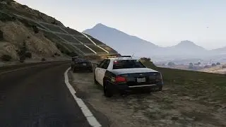 GTA 5 Traffic Stop Scenarios Police Training E1