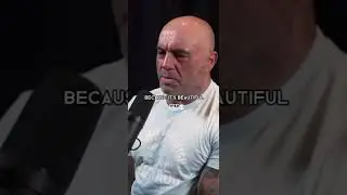 The Importance of Self Dicipline (short)