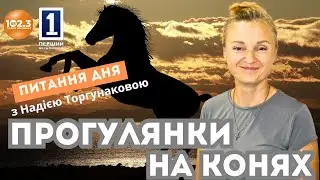 Питання дня - Прогулянки на конях🏇