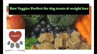 Northwest naturals Veggie Bites Dog Treats