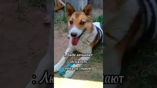 будто ничего не знаю 🙄